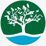 FUNDAÇÃO FLORESTAL