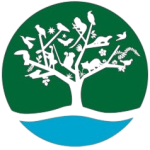 FUNDAÇÃO FLORESTAL